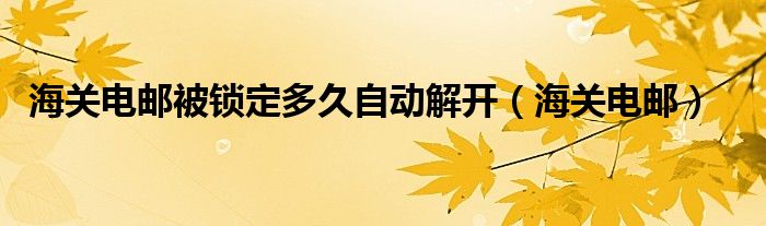 海关电邮被锁定多久自动解开（海关电邮）