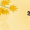 怎样买股票（怎样）