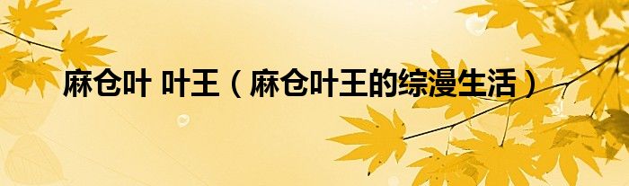 麻仓叶 叶王（麻仓叶王的综漫生活）