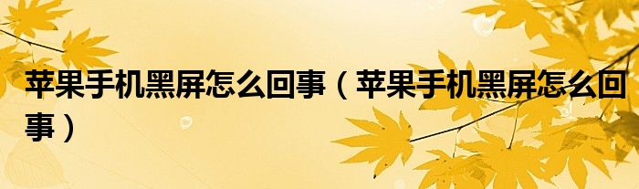 苹果手机黑屏怎么回事（苹果手机黑屏怎么回事）
