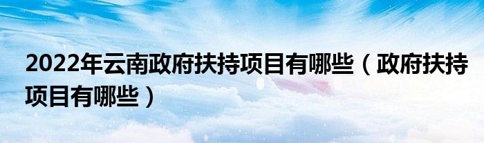 2022年云南政府扶持项目有哪些（政府扶持项目有哪些）
