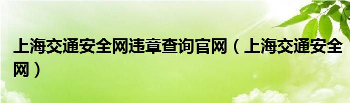 上海交通安全网违章查询官网（上海交通安全网）