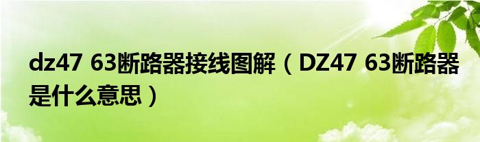 dz47 63断路器接线图解（DZ47 63断路器是什么意思）