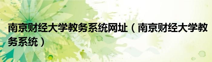 南京财经大学教务系统网址（南京财经大学教务系统）