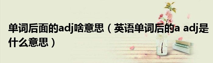 单词后面的adj啥意思（英语单词后的a adj是什么意思）