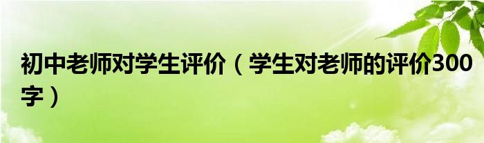 初中老师对学生评价（学生对老师的评价300字）