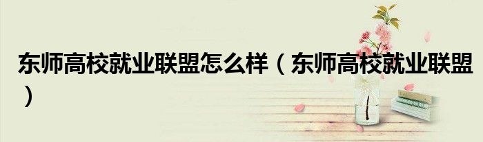 东师高校就业联盟怎么样（东师高校就业联盟）
