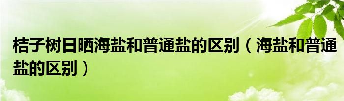 桔子树日晒海盐和普通盐的区别（海盐和普通盐的区别）