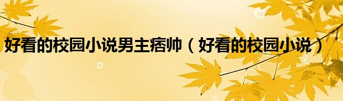 好看的校园小说男主痞帅（好看的校园小说）