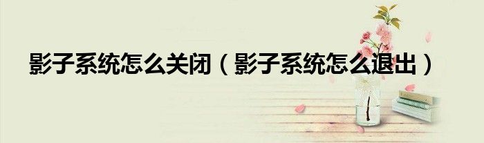 影子系统怎么关闭（影子系统怎么退出）