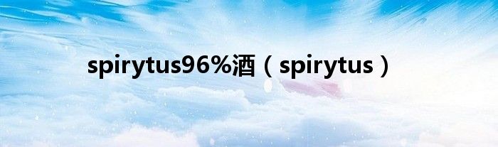 spirytus96%酒（spirytus）