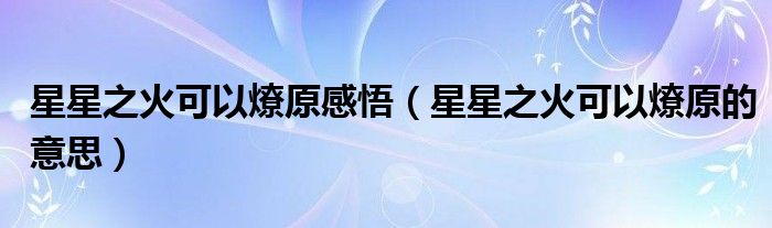 星星之火可以燎原感悟（星星之火可以燎原的意思）