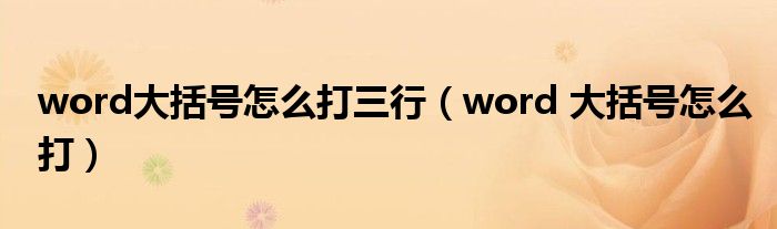 word大括号怎么打三行（word 大括号怎么打）