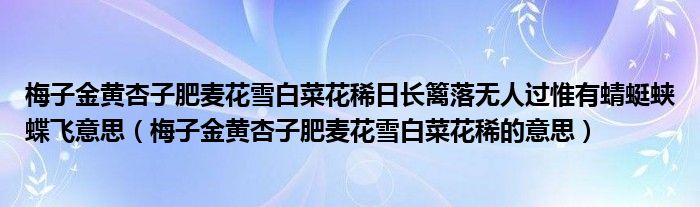 梅子金黄杏子肥麦花雪白菜花稀日长篱落无人过惟有蜻蜓蛱蝶飞意思（梅子金黄杏子肥麦花雪白菜花稀的意思）