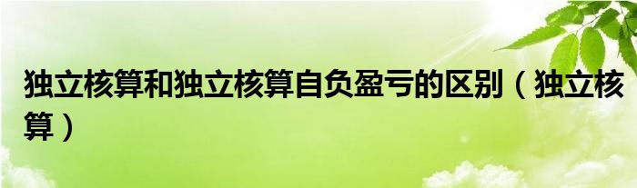 独立核算和独立核算自负盈亏的区别（独立核算）