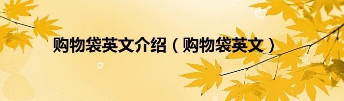 购物袋英文介绍（购物袋英文）