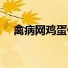 禽病网鸡蛋价格行情（禽病网鸡蛋价格）