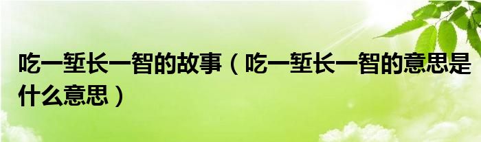 吃一堑长一智的故事（吃一堑长一智的意思是什么意思）