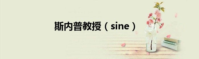 斯内普教授（sine）