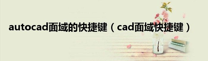 autocad面域的快捷键（cad面域快捷键）