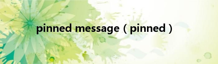 pinned message（pinned）