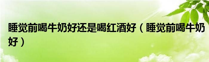 睡觉前喝牛奶好还是喝红酒好（睡觉前喝牛奶好）