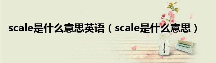 scale是什么意思英语（scale是什么意思）