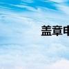 盖章申请表模板（盖章申请）