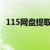 115网盘提取文件（115网盘下载地址提取