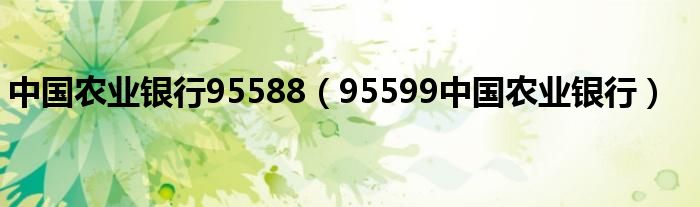 中国农业银行95588（95599中国农业银行）