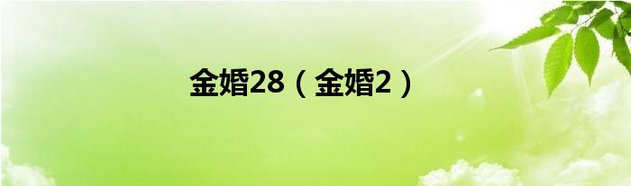 金婚28（金婚2）