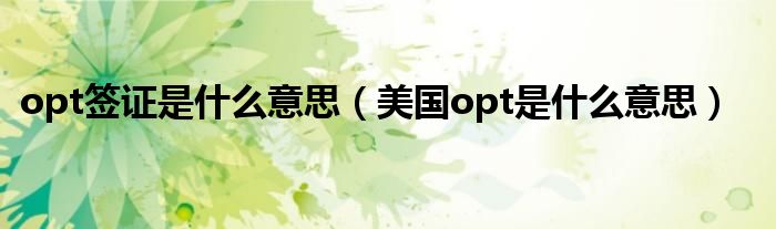 opt签证是什么意思（美国opt是什么意思）