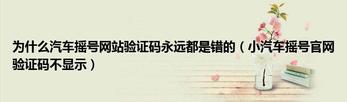 为什么汽车摇号网站验证码永远都是错的（小汽车摇号官网验证码不显示）