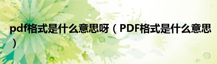 pdf格式是什么意思呀（PDF格式是什么意思）
