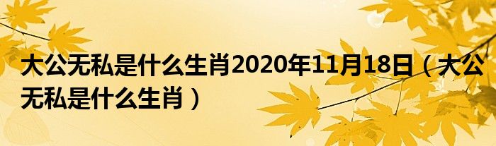 大公无私是什么生肖2020年11月18日（大公无私是什么生肖）