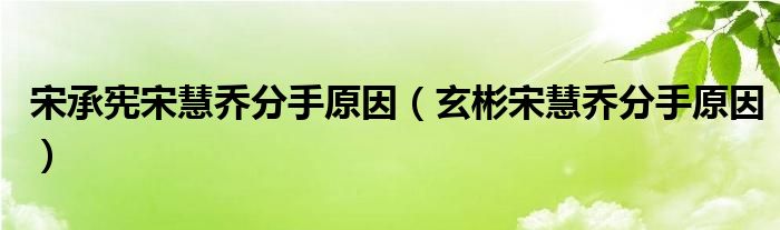 宋承宪宋慧乔分手原因（玄彬宋慧乔分手原因）