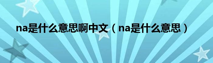 na是什么意思啊中文（na是什么意思）