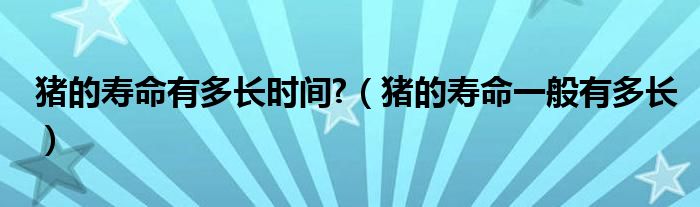 猪的寿命有多长时间?（猪的寿命一般有多长）