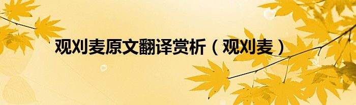 观刈麦原文翻译赏析（观刈麦）