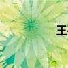 王平久简介（王平久）
