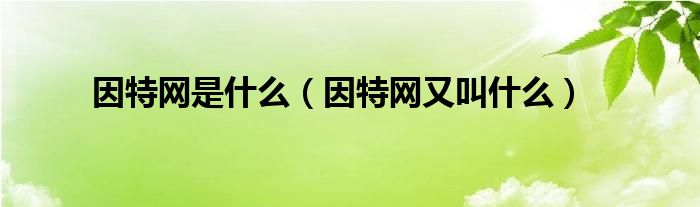 因特网是什么（因特网又叫什么）