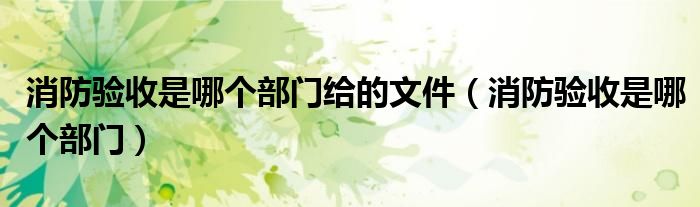 消防验收是哪个部门给的文件（消防验收是哪个部门）