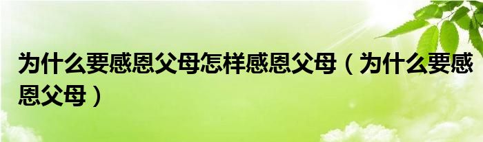 为什么要感恩父母怎样感恩父母（为什么要感恩父母）