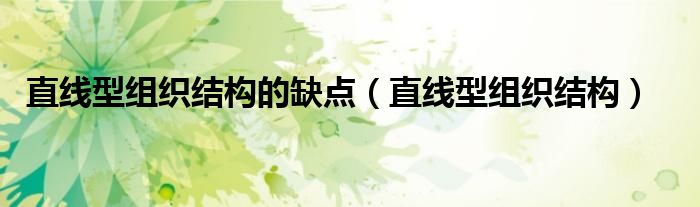 直线型组织结构的缺点（直线型组织结构）