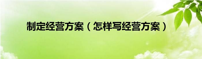 制定经营方案（怎样写经营方案）