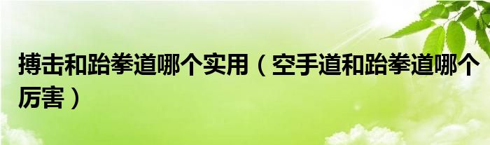 搏击和跆拳道哪个实用（空手道和跆拳道哪个厉害）