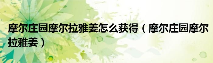 摩尔庄园摩尔拉雅姜怎么获得（摩尔庄园摩尔拉雅姜）