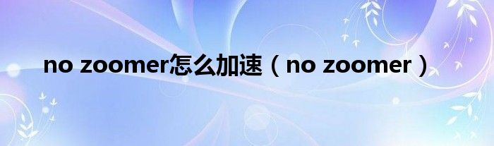 no zoomer怎么加速（no zoomer）