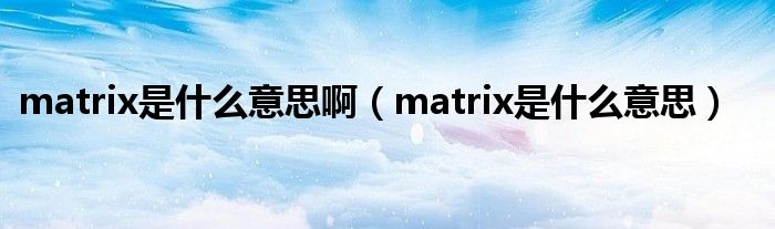 matrix是什么意思啊（matrix是什么意思）