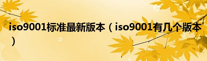 iso9001标准最新版本（iso9001有几个版本）